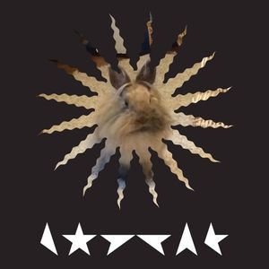 Meet your Posher, Missy